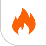 BFFs Black Friday Collection